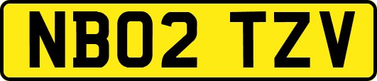 NB02TZV