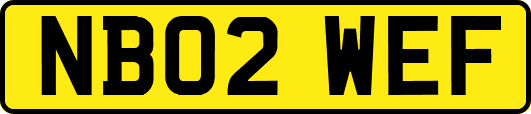 NB02WEF