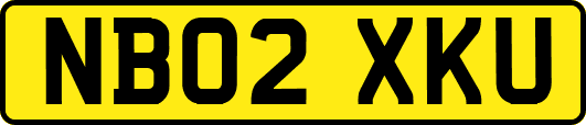 NB02XKU