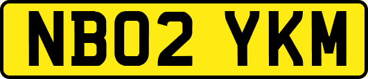 NB02YKM