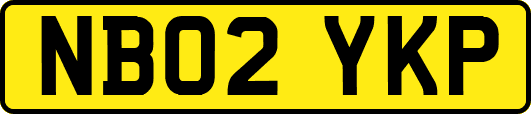 NB02YKP
