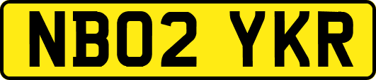 NB02YKR