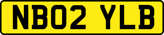 NB02YLB