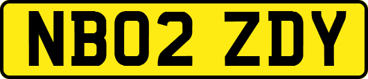 NB02ZDY