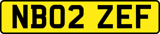 NB02ZEF