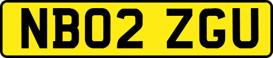 NB02ZGU