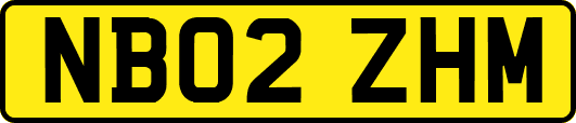 NB02ZHM