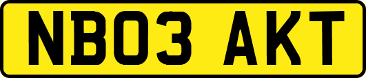 NB03AKT