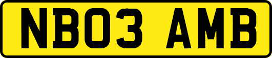 NB03AMB