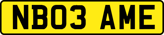 NB03AME