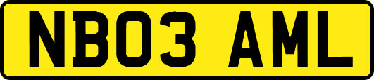 NB03AML