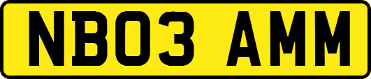 NB03AMM
