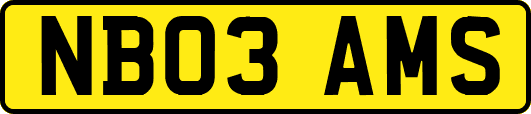 NB03AMS
