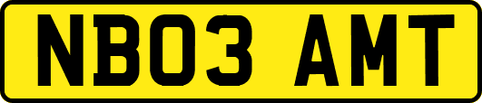 NB03AMT