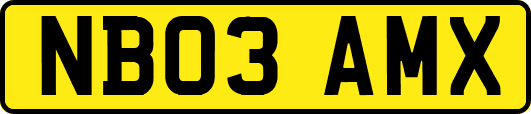 NB03AMX