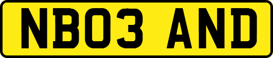 NB03AND