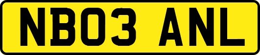 NB03ANL