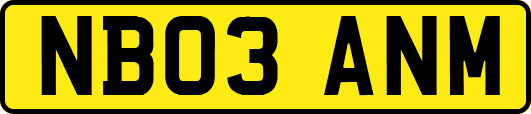 NB03ANM