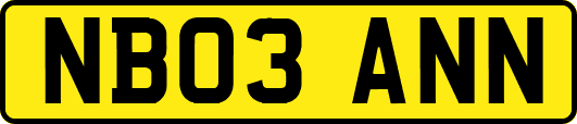 NB03ANN