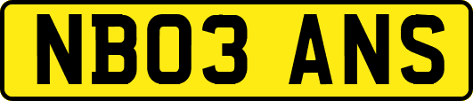 NB03ANS