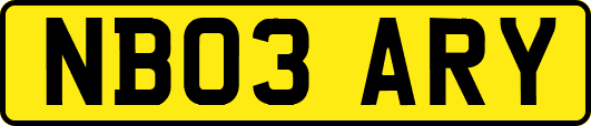NB03ARY