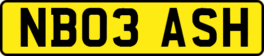 NB03ASH