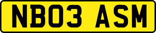 NB03ASM