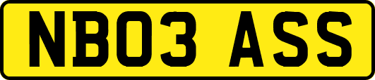 NB03ASS