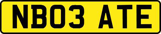 NB03ATE