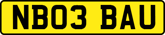 NB03BAU