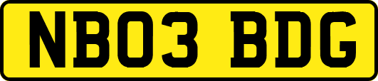 NB03BDG