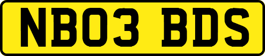 NB03BDS
