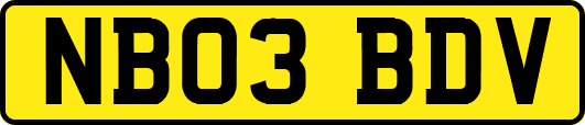 NB03BDV