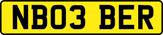 NB03BER