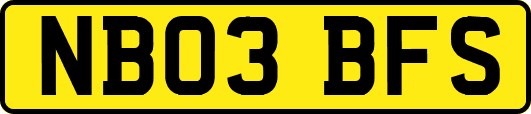 NB03BFS