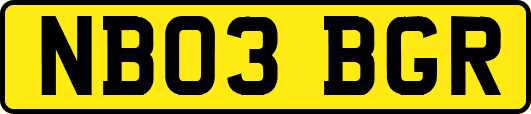 NB03BGR