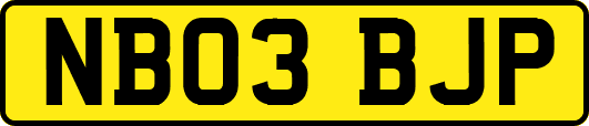NB03BJP