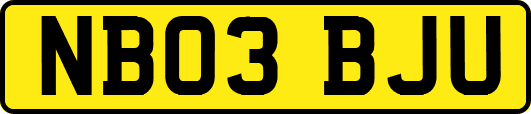 NB03BJU