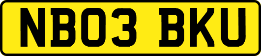 NB03BKU