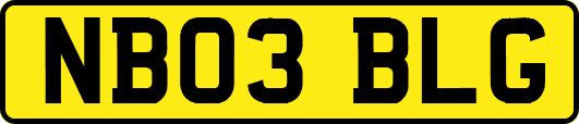 NB03BLG