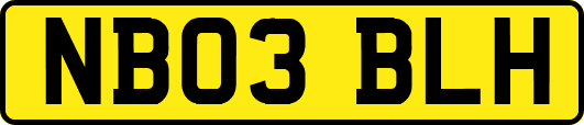NB03BLH