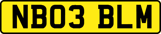 NB03BLM