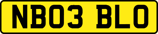 NB03BLO