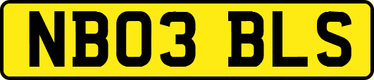 NB03BLS
