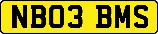 NB03BMS