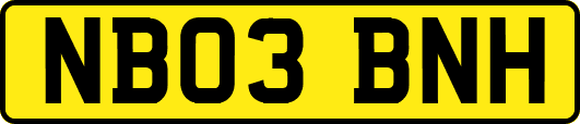 NB03BNH