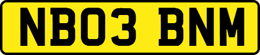 NB03BNM