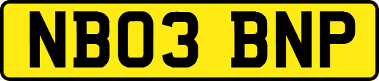 NB03BNP