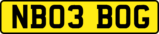 NB03BOG