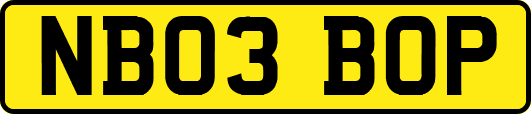 NB03BOP
